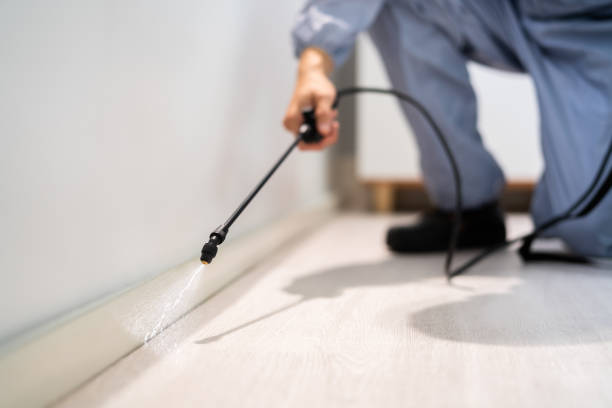 Licensed Pest Control service in Burns, OR - Show Me Pest Control