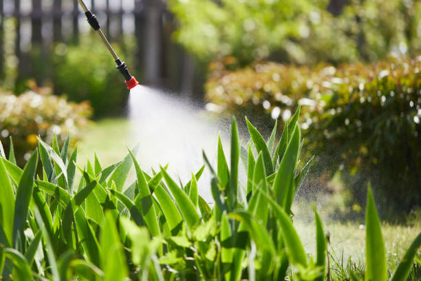 24/7 Emergency Ant Control experts in Burns, OR